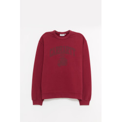 CARHARTT WIP MARSALA FADED PONG SWEATSHIRT
